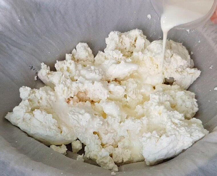 Cottage Cheese