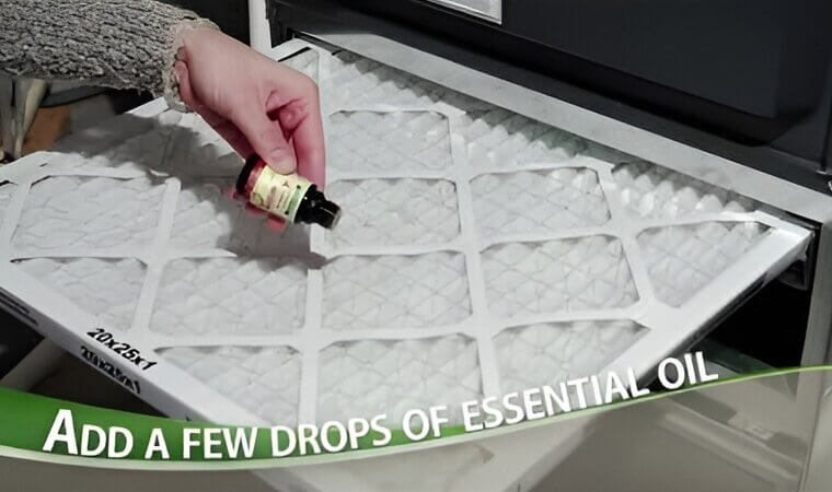 Freshen up Your Air Conditioner With Some Essential Oils