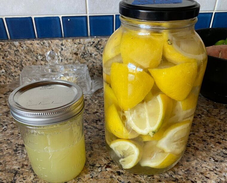 Clean Your Toilet Brush Holder With Lemon and White Vinegar