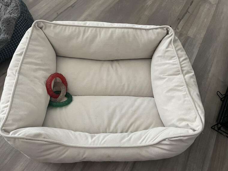 Deodorize a Dog Bed With Baking Soda