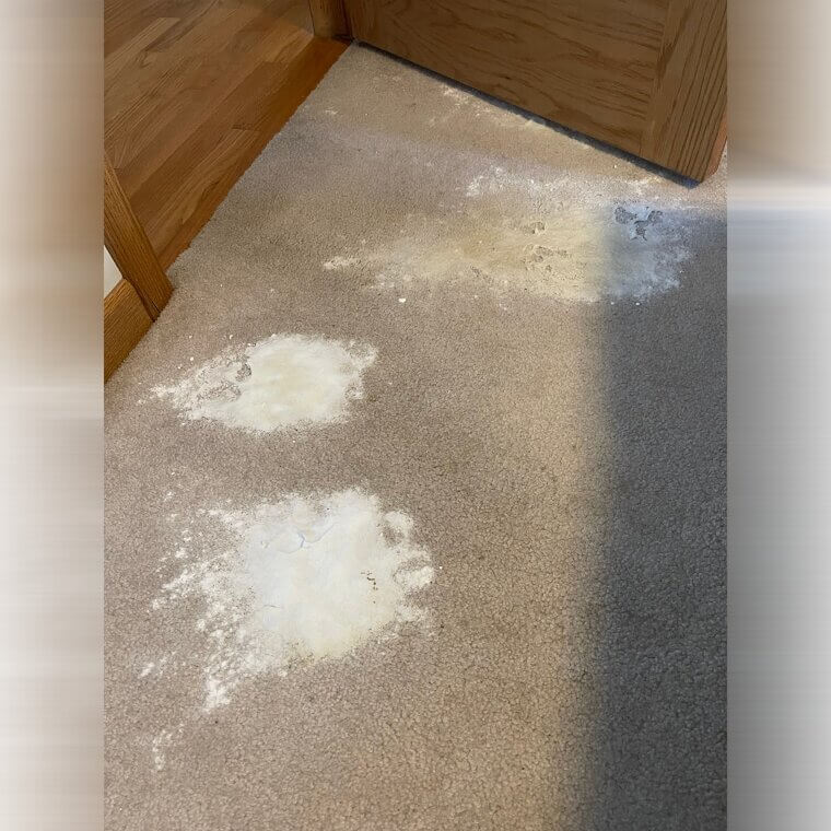 Neutralize Pet Messes With Baking Soda