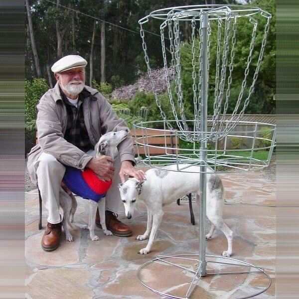 Whippet