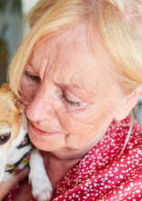 Races de chiens recommandées pour les personnes âgées