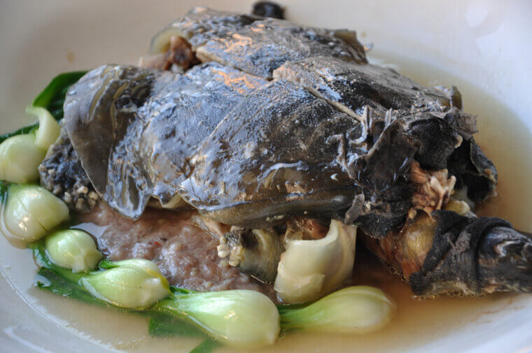 Chester A. Arthur - Turtle Steak