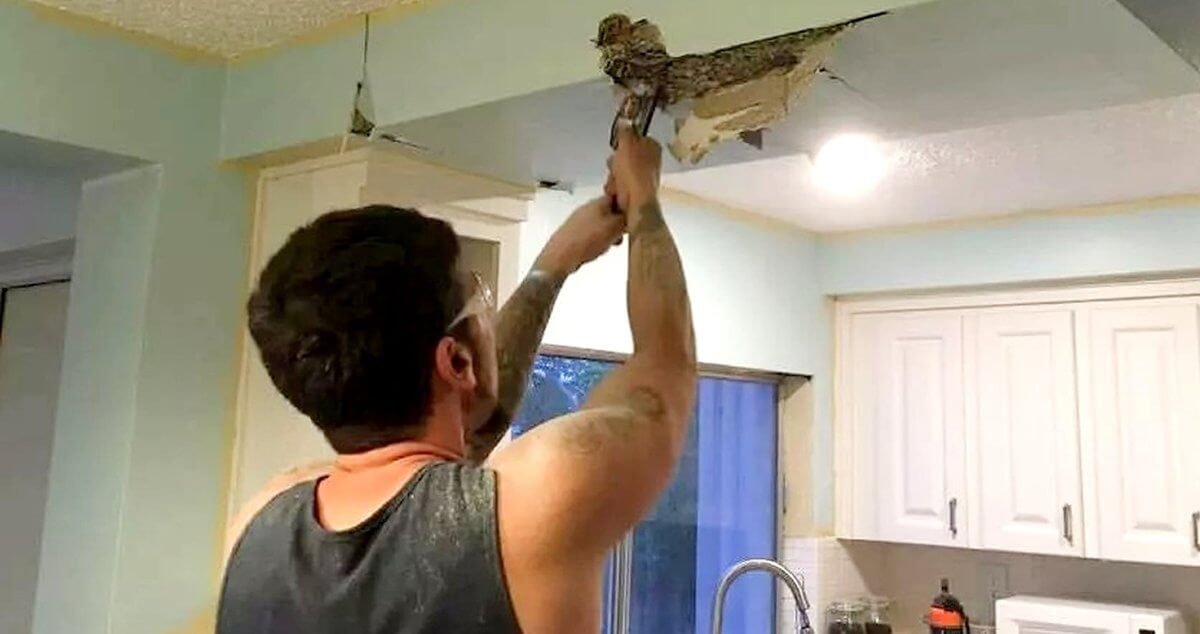 Man Renovating His Kitchen Finds An Item Behind Wall That Changes His Life Forever