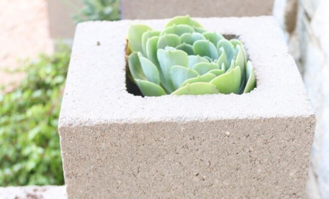 Useful and Doable Projects For Those Cinder Blocks Just Sitting In the Garden