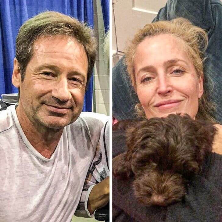 Gillian Anderson And David Duchovny - Now