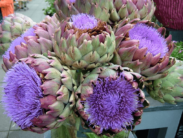 Artichokes Would Make A Beautiful Centerpiece