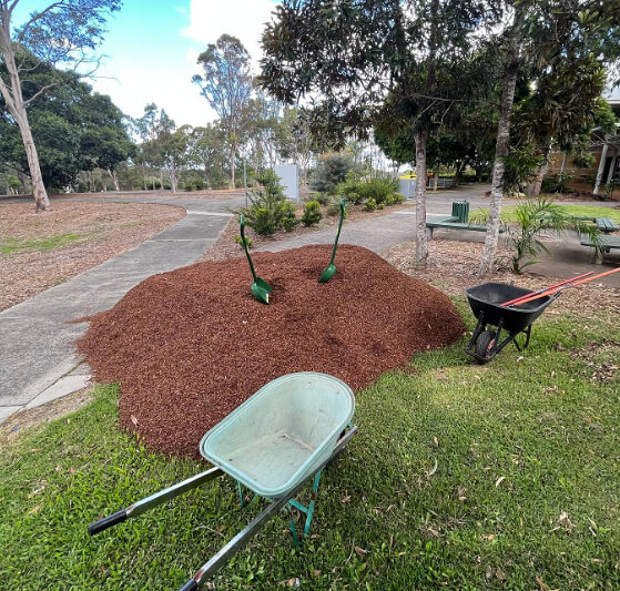 Paillis dans les zones éloignées de ta maison
