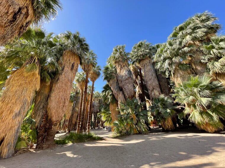 Palm Springs, California