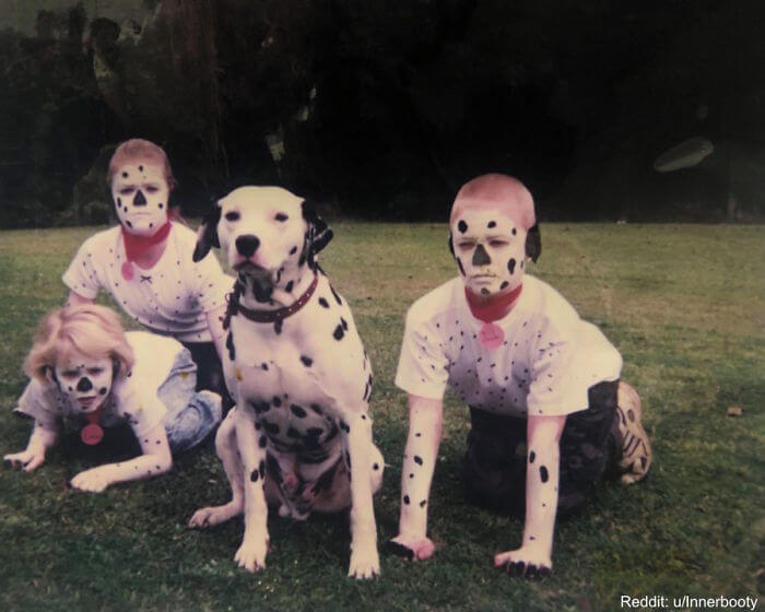 Even The Dog Looks Scared