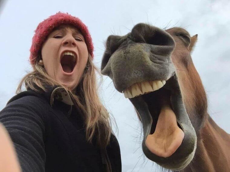 Horsing Around