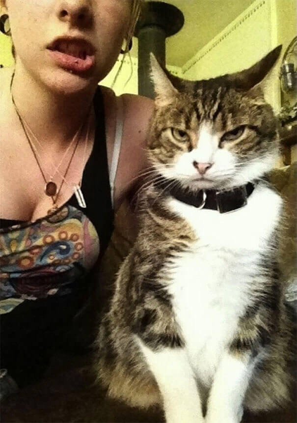 The Wrath Of The Kitty