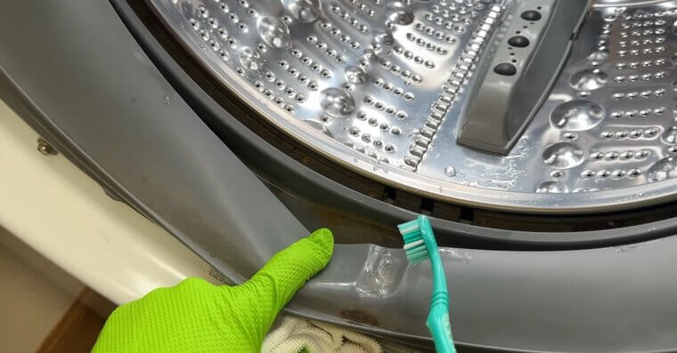 Wipe Down Washer and Dryer Seals