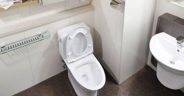 Flush Toilets in Unused Rooms