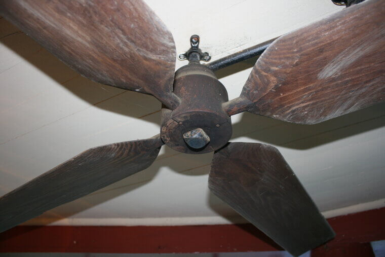 The Electric Fan