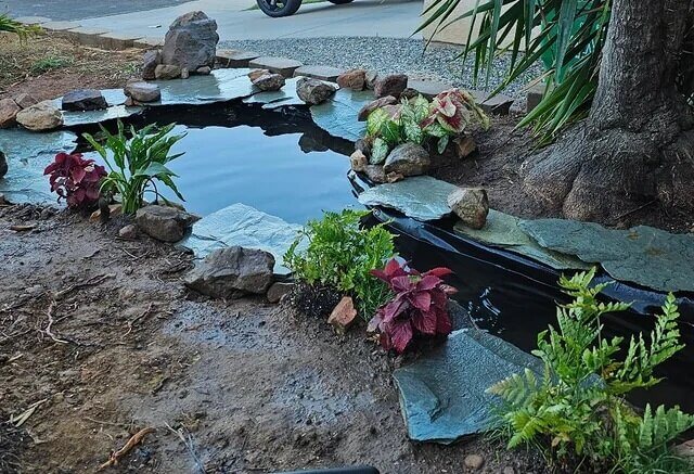 DIY Koi Pond
