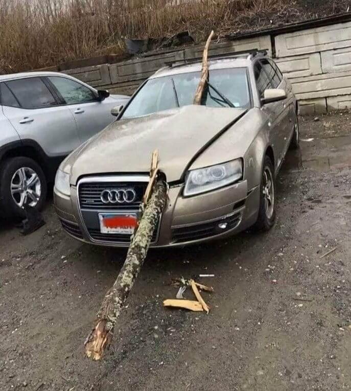 Ever Seen a Car Try to Pole Vault?