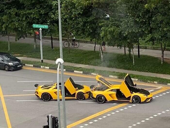 The Lamborghini Breeding Ritual