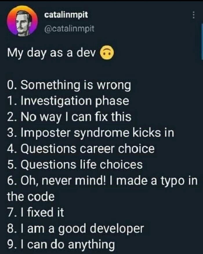 The Typical Day in the Life of a Developer