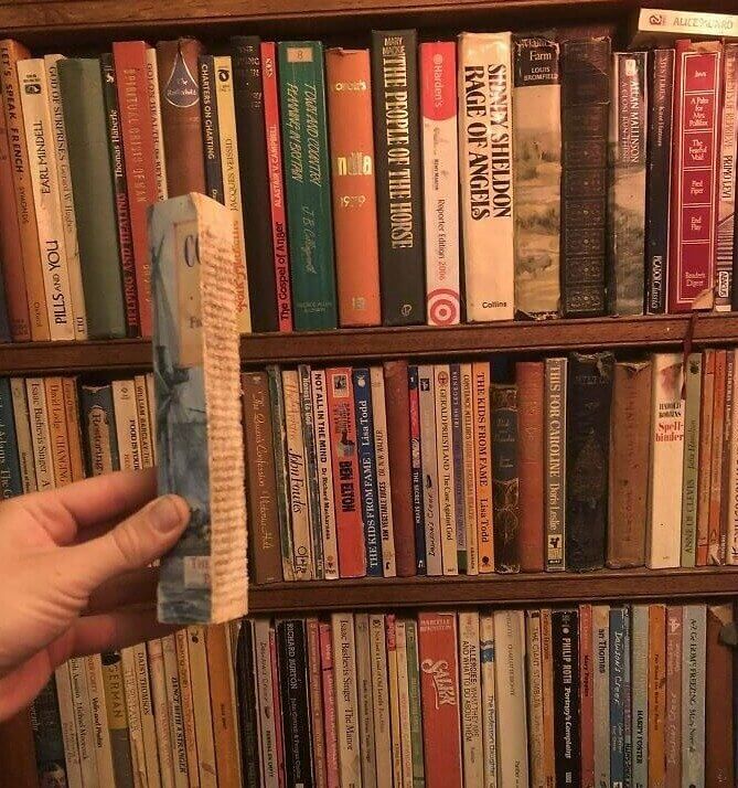 Perfect for Those Who Want an Intellectual Aesthetic but Secretly Hate Books