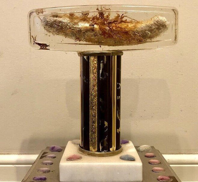 A 20-Year-Old Trophy Hot Dog