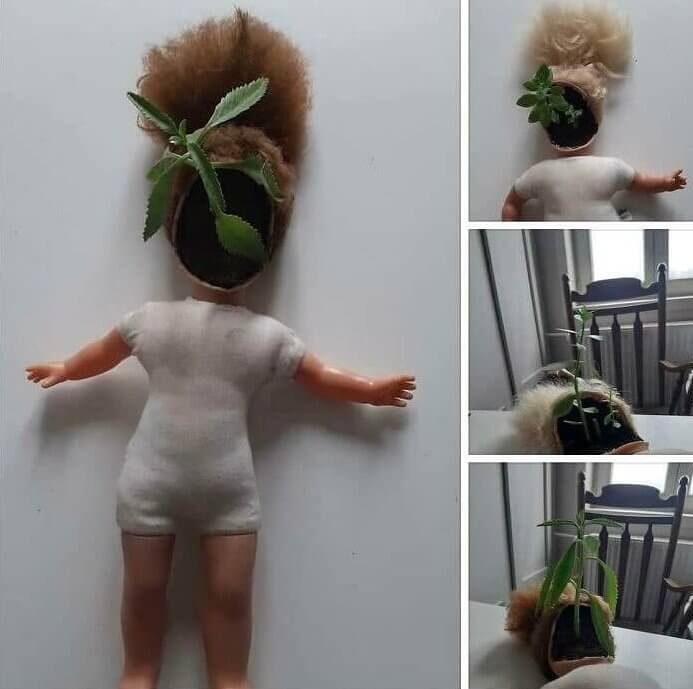 These Plant Hacks Are Getting Out of Hand