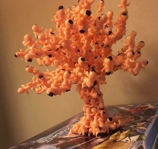 A Homemade Baby Bonsai Tree (literally)