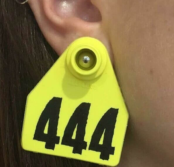 When Your Aesthetic Is "farm Cow Chic"