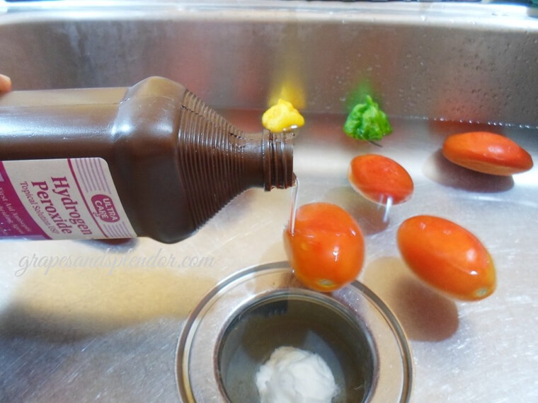 Wash Your Produce Using Hydrogen Peroxide