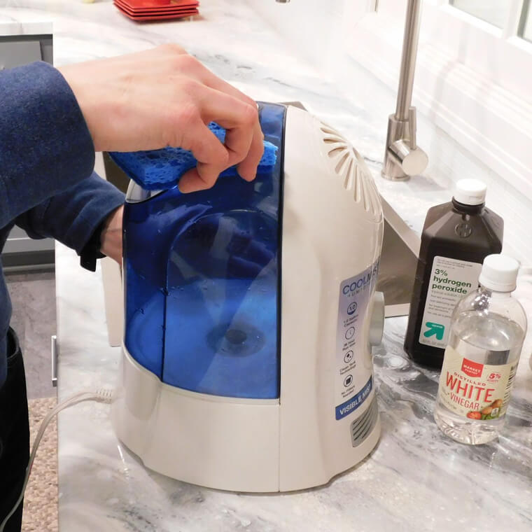 Sanitize Your Humidifier