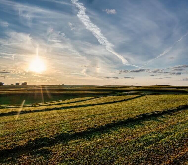 "You’re Acting Like You Don't Have a Lick of Sense. "