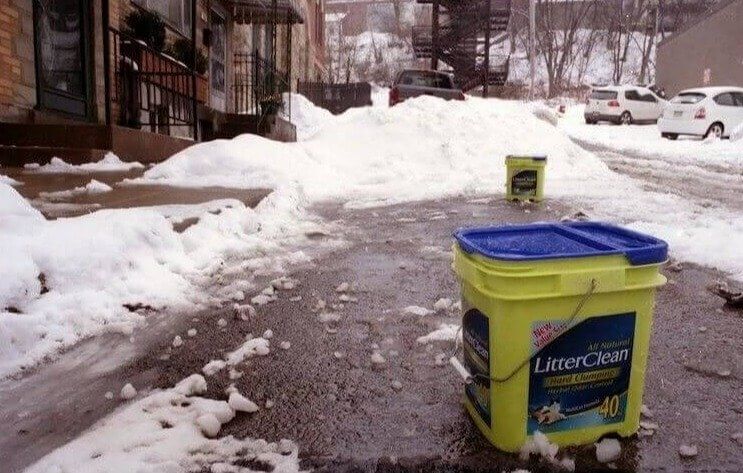 Keep Your Icy Driveway Safe Using Cat Litter