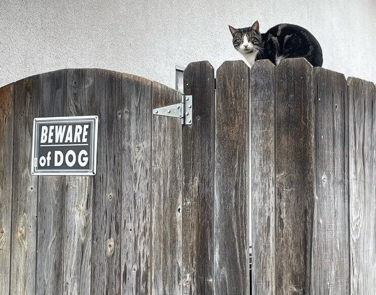 "Beware of Dog" Signs Actually Work