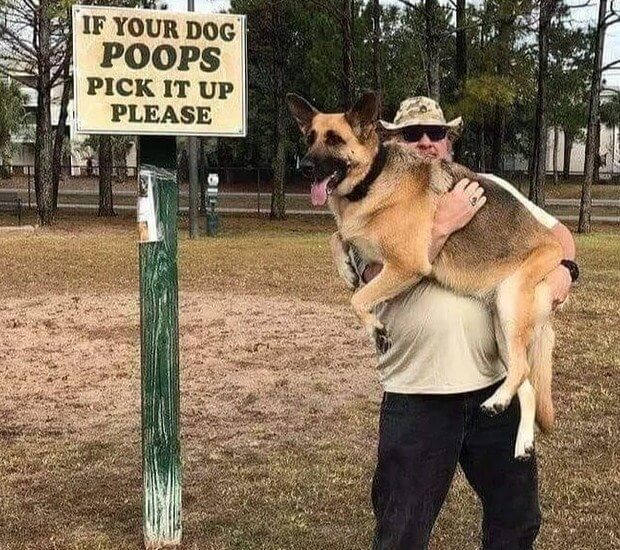 Pick up After Your Dog to Keep Your Home's Grass Healthy