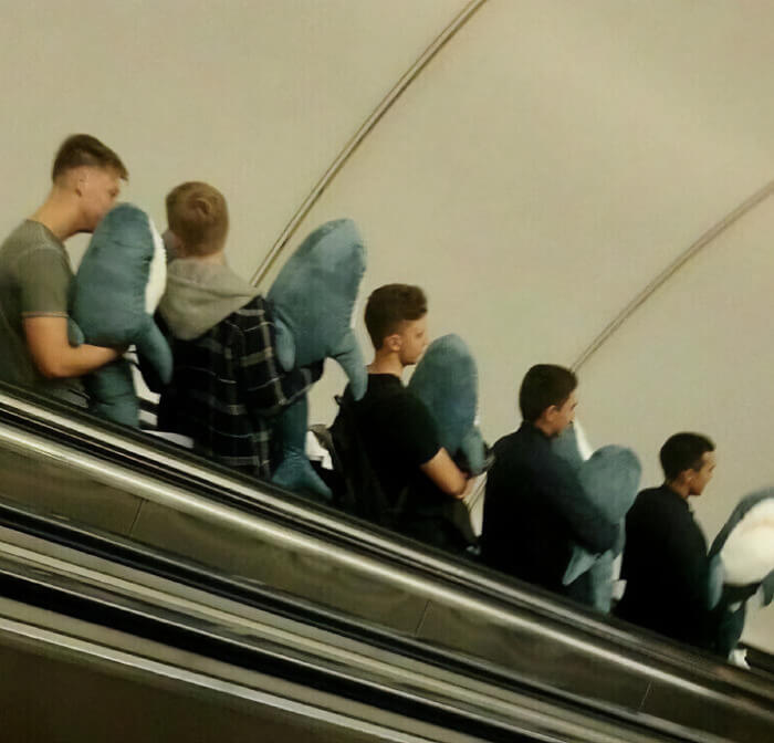 Baby Shark, Mommy Shark, Daddy Shark, Grandma Shark e Grandpa Shark