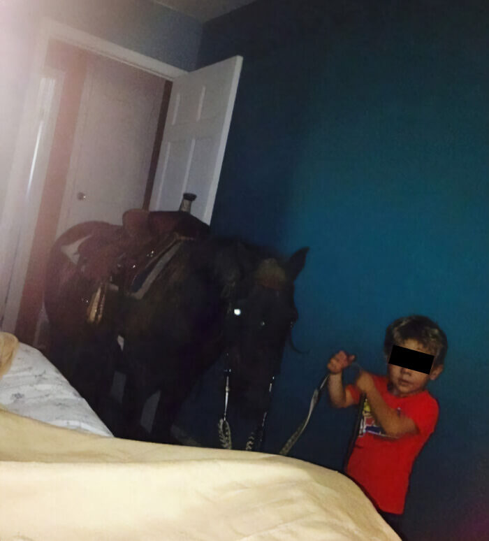 "Ei, mãe, meu novo amigo vai dormir aqui em casa hoje"