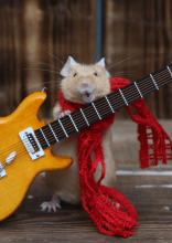 Funny Photos That Leave Us Scratching Our Heads