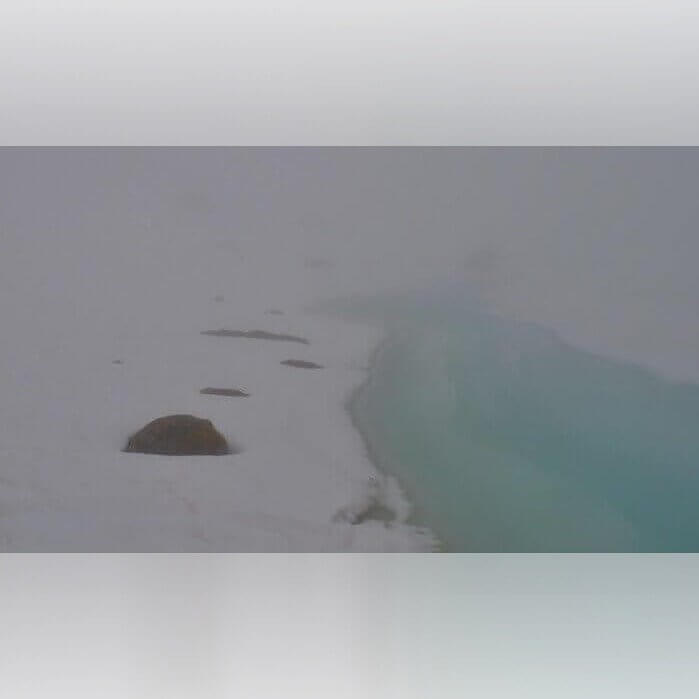 A roncsok elhagyása