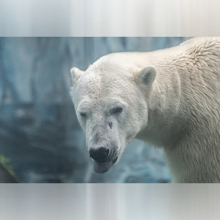 A történtek számbavétele