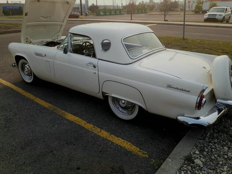 Ford Thunderbird (Late 70s Models)