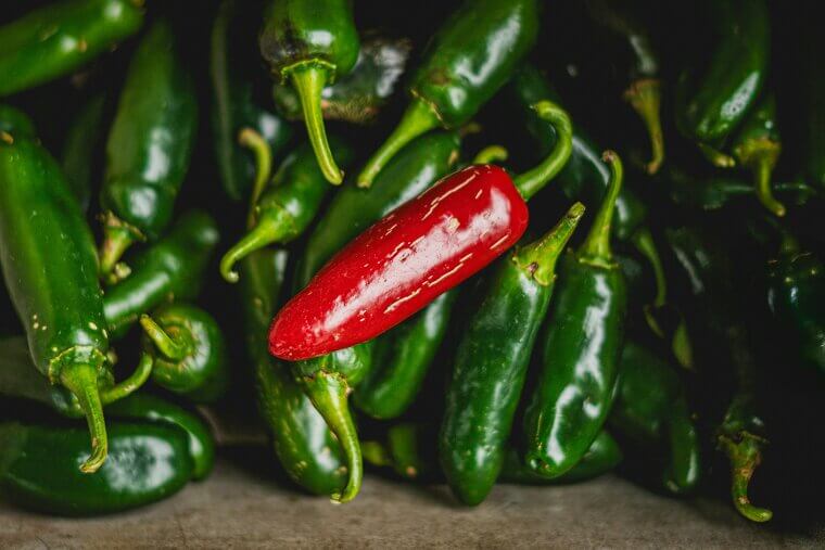 The Spicy Thrill-Seeker (Jalapeños)