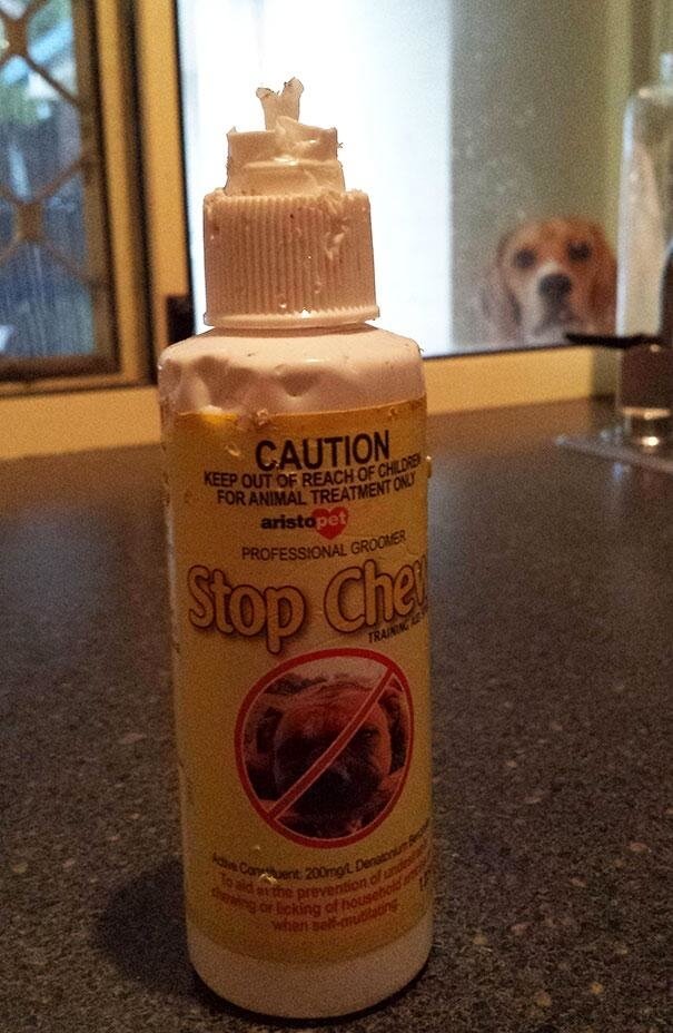"Must Chew The Anti Chew"
