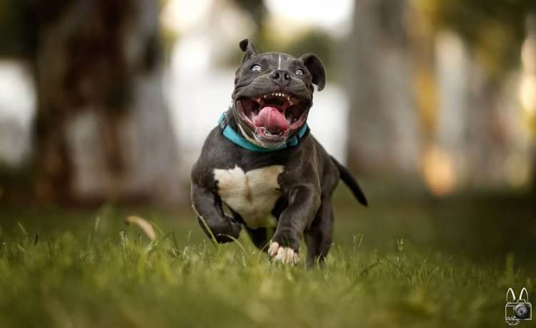 That moment when you see a snack just around the corner
