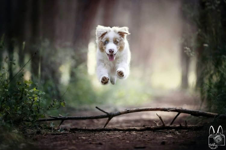 I believe I can fly, I believe I can touch the skies