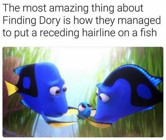 A Receding Hairline on a Fish