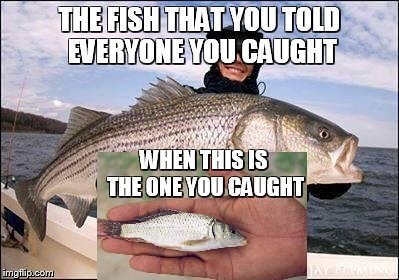 Top Funniest Fish Memes To Make Your Day 