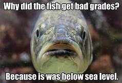 The Fish With Poor Grades and a Poor Joke