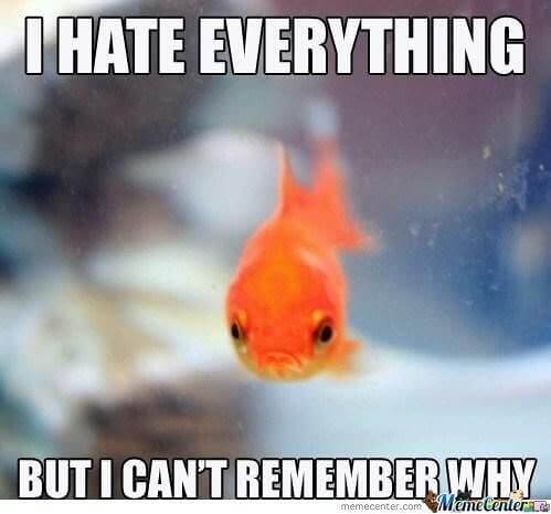 The Little Fish That Hated Everything