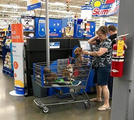 Wrong Store